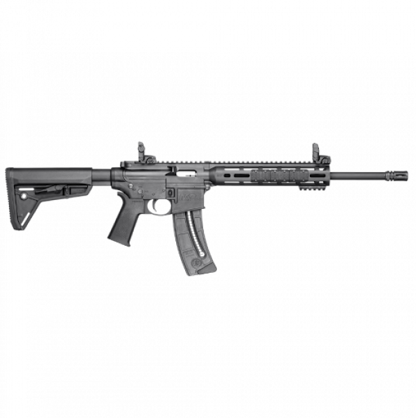BRW - RIFLE SMITH WESSON MP15-22 SPORT CALIBRE .22LR