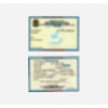 Serviço - Porte de Arma de Fogo Pessoa Física